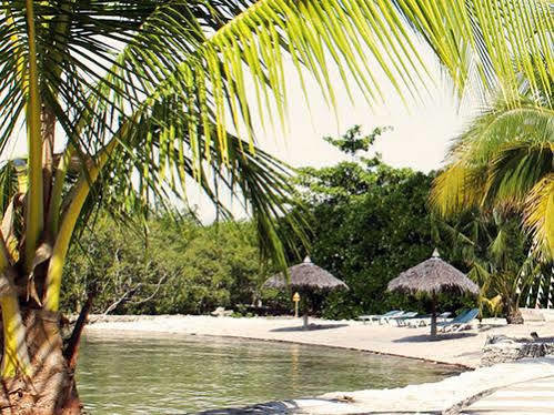 Whispering Palms Island Resort Bacolod Esterno foto